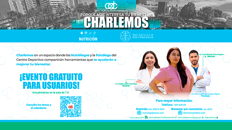 Css Template Preview