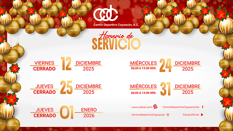 Css Template Preview