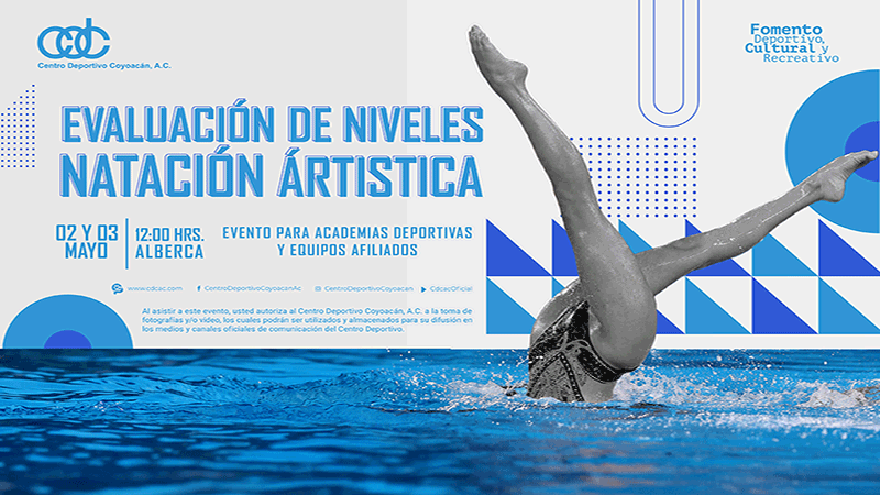 Css Template Preview