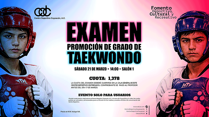 Css Template Preview