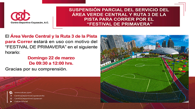 Css Template Preview