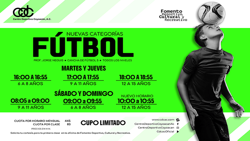 Css Template Preview