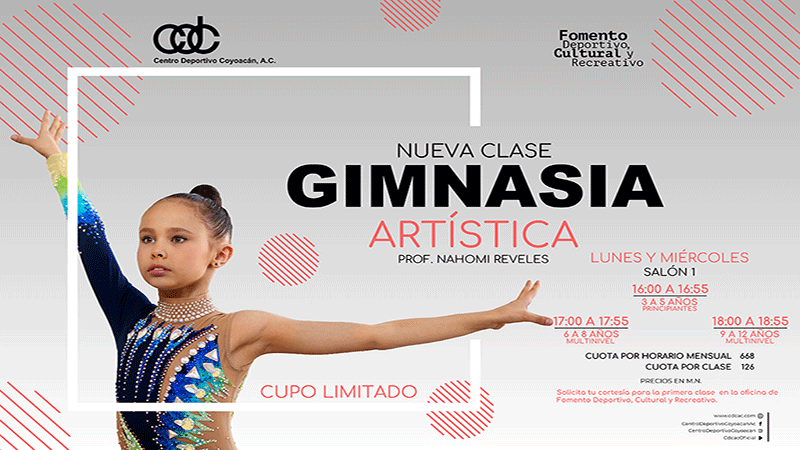 Css Template Preview