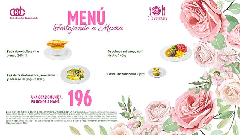 Css Template Preview