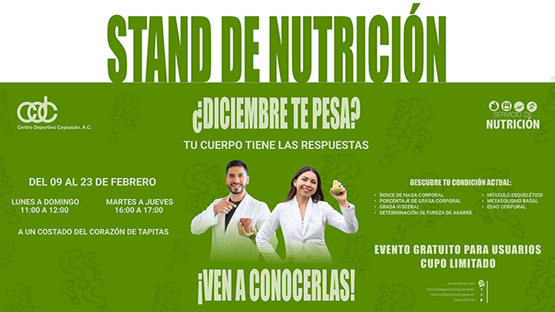 Css Template Preview