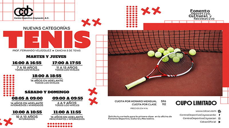 Css Template Preview